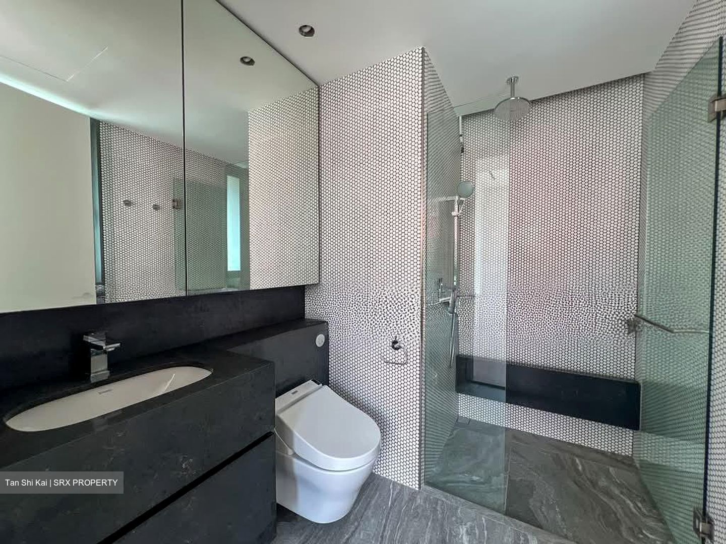 10 Evelyn (D11), Apartment #547330431